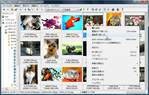 EsPix Manager