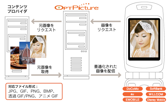 OPTPictureイメージ